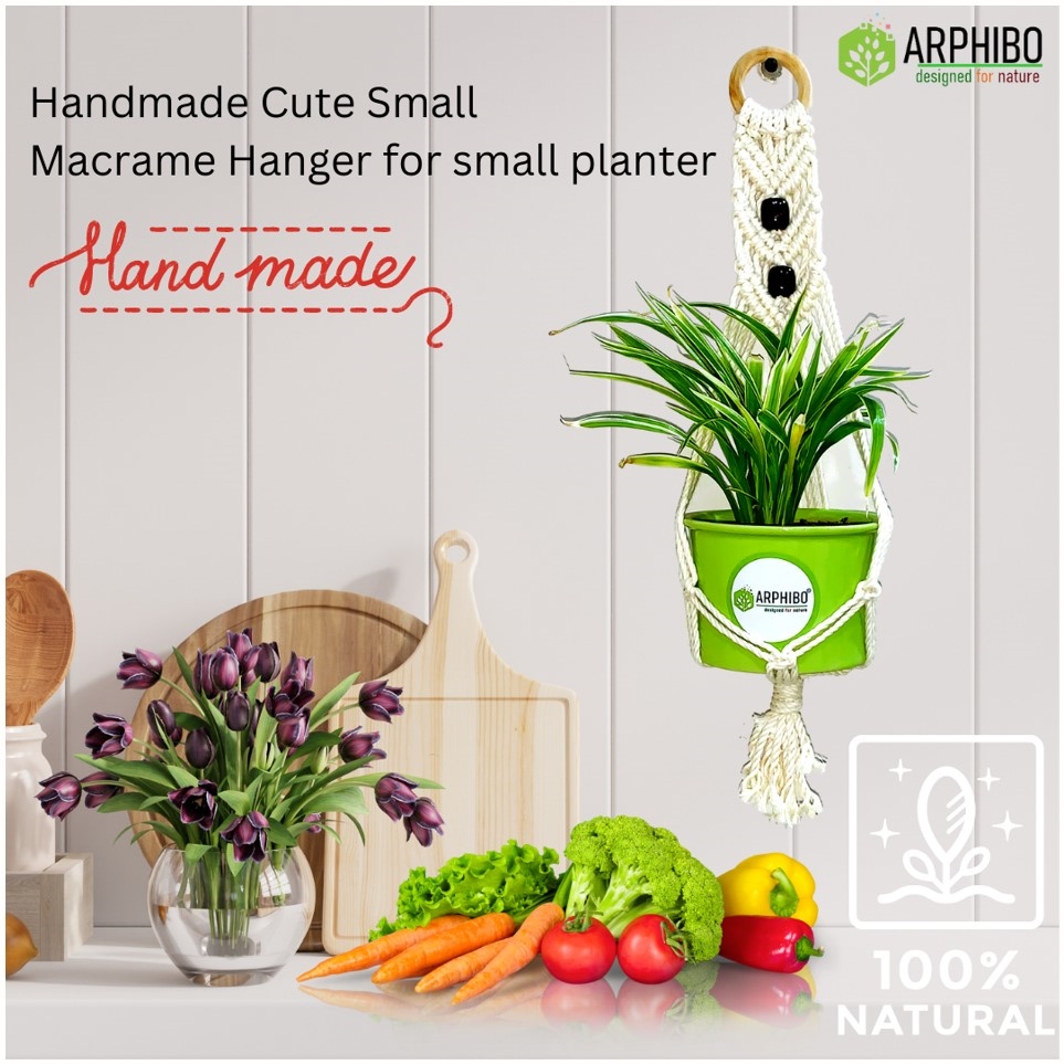 Macrame & Handmade Planter