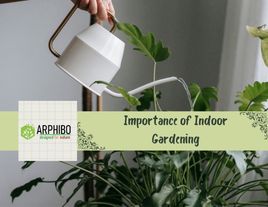 Supreme Benefits Of Indoor Gardening